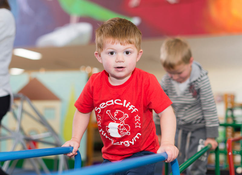 Seacliff Kindergym photo gallery