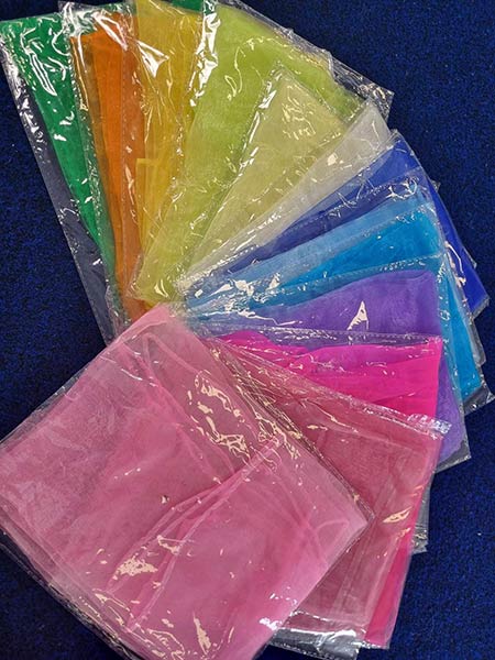 Seacliff Kindergym – SCARVES Seacliff Kindergym - SCARVES